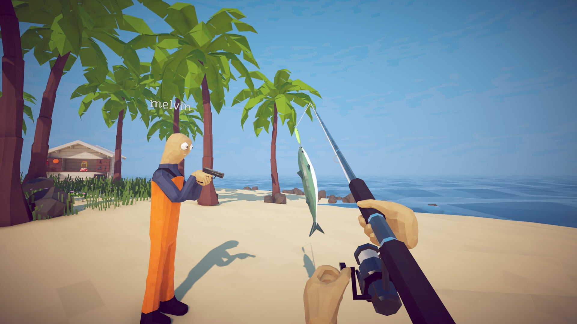 How to Fish
