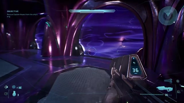 Enter the brig