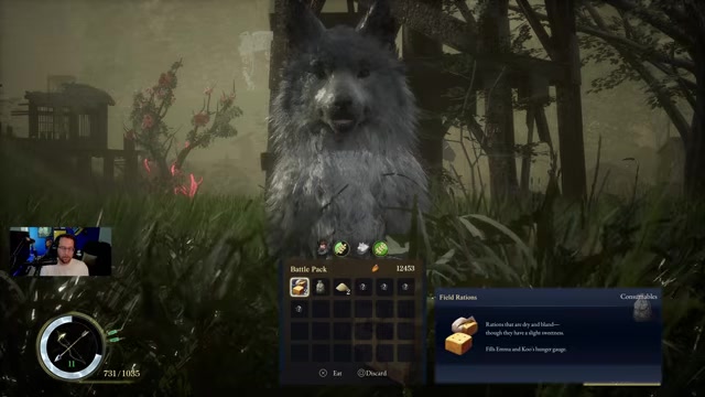 Feed Koo when the game offers it