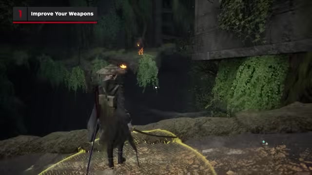 Collect skull materials