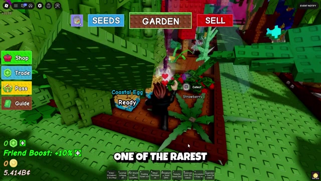 Play during Harvest Moon
