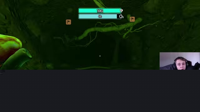 Follow the cave path