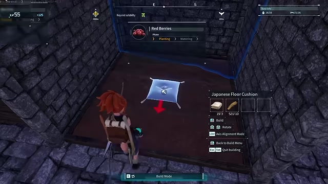 Repeat with another cushion