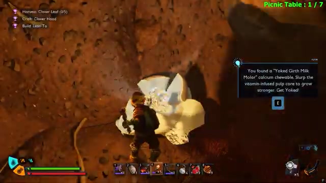 Front ant cave