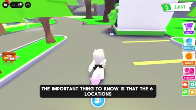 Watch your pet's face and body