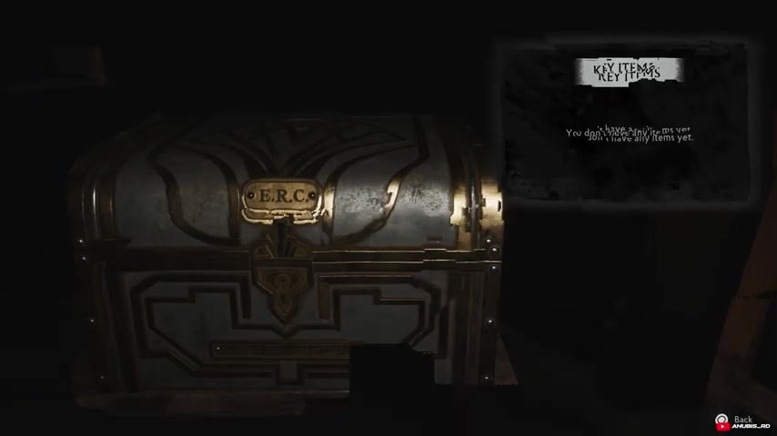 Collect the handgun ammo