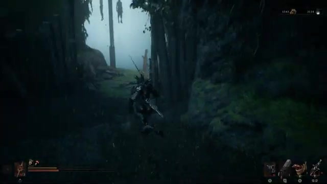 Push through the rot-covered path
