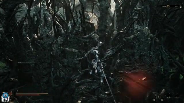 Enter the cave behind it