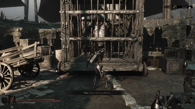 Find Vlas in the cage