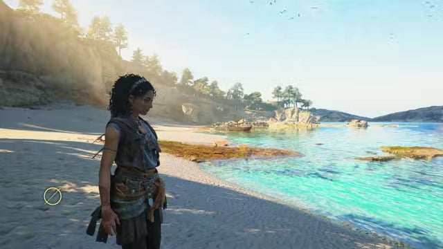 Reach the turtle at the water's edge