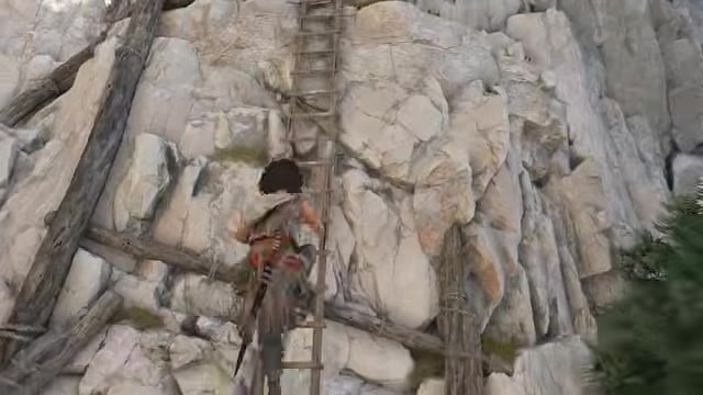 Climb the ladder behind you