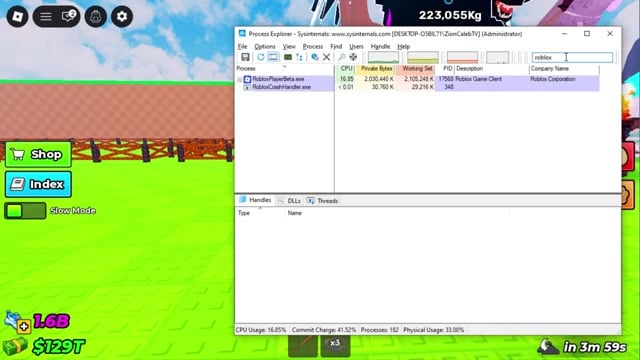 Run Process Explorer as administrator