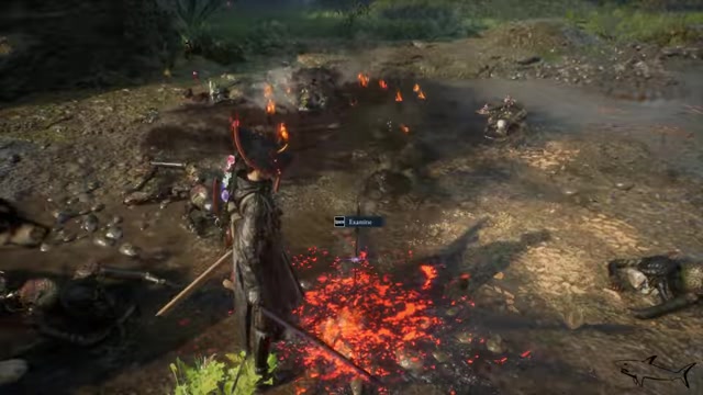 Pick up the Sunrise Sword