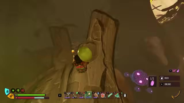 Carry the egg home