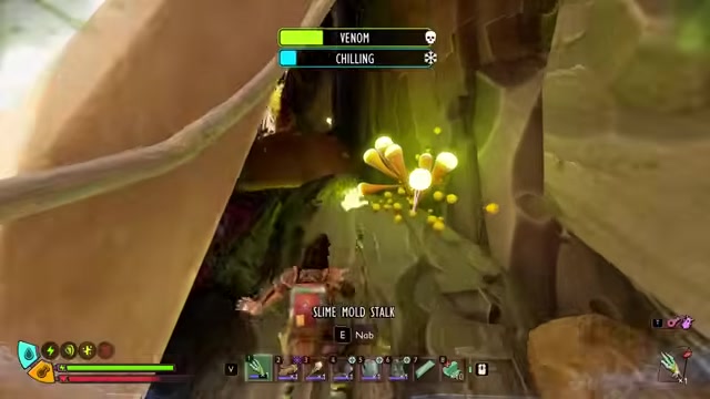 Enter the cave