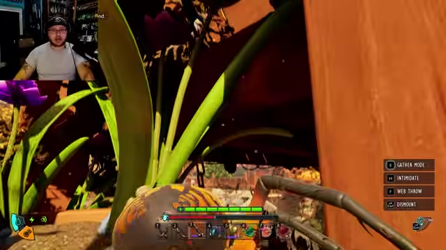 Cross the plant section