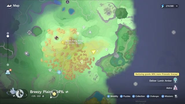 Locate the clearing beyond the forest