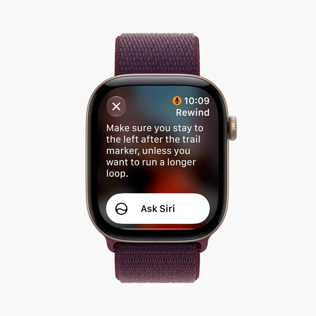 Live Rewind on Apple Watch Series 12