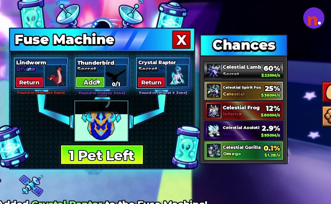 Two pets loaded into the machine