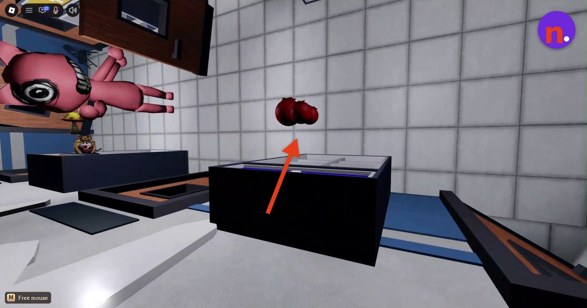 Red berries floating above the examination-room counter